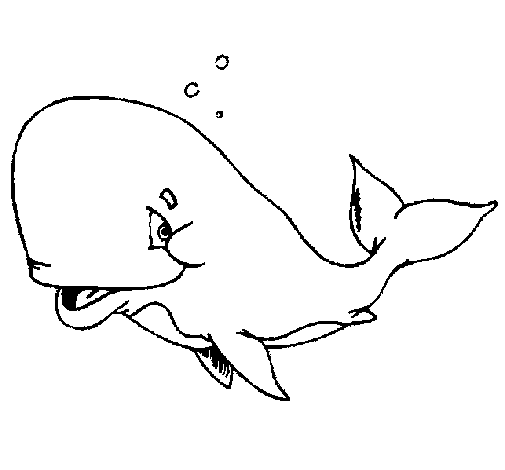 Disegno di Balena timida  da Colorare