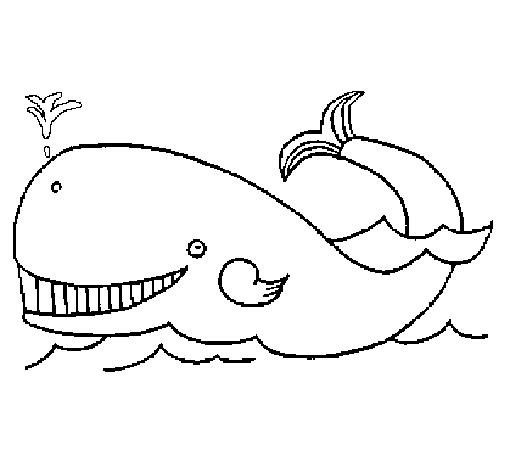 Disegno di Balena  da Colorare