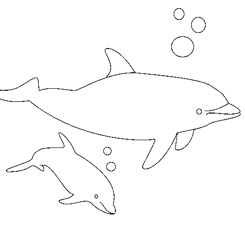 Disegno di Delfini  da Colorare