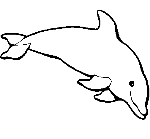 Disegno di Delfino felice  da Colorare