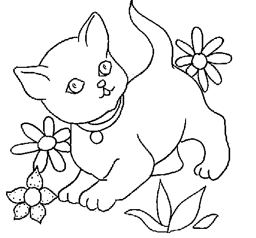 Disegno di Gattino  da Colorare