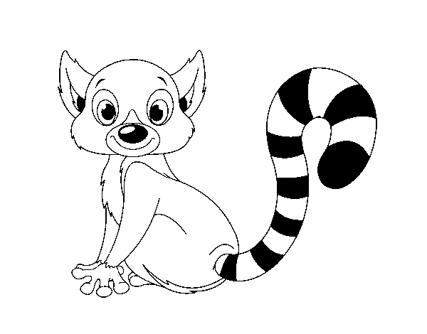 Disegno di Lemure da Colorare