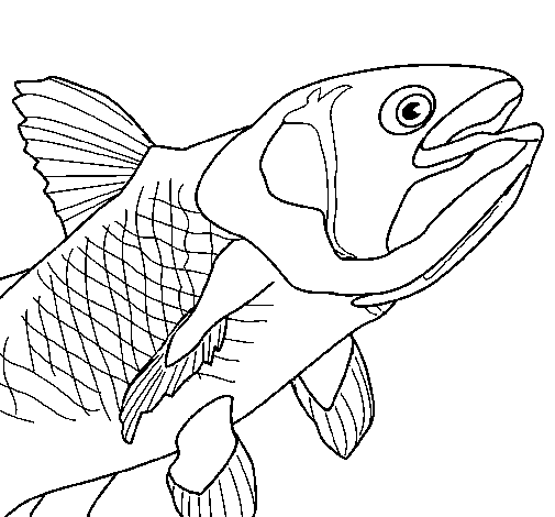 Disegno di Pesce  6 da Colorare
