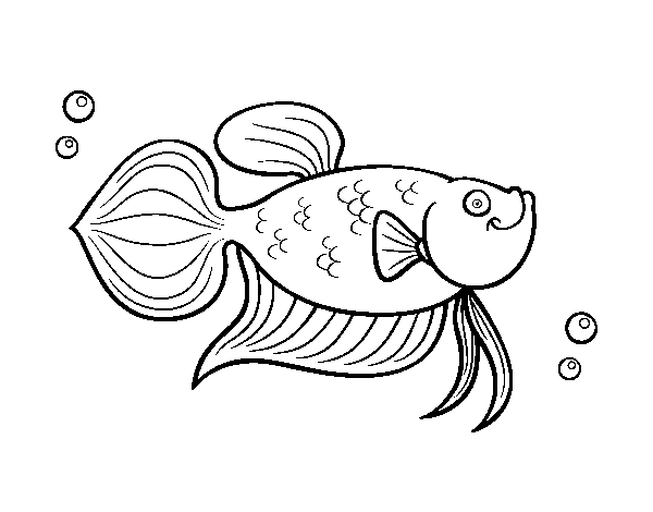 Disegno di Pesce rosso da Colorare