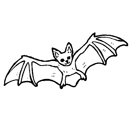 Disegno di Pipistrello in volo  da Colorare