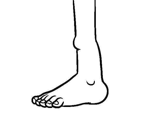 Disegno di Caviglia da Colorare