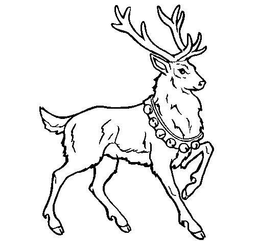 Disegno di Cervo  da Colorare