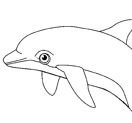 Disegno di Delfino  da Colorare