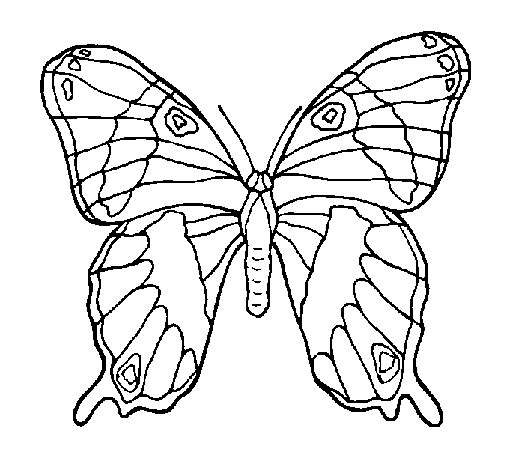 Disegno di Farfalla 7a da Colorare