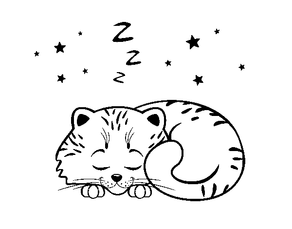 Disegno di Gattino addormentato da Colorare