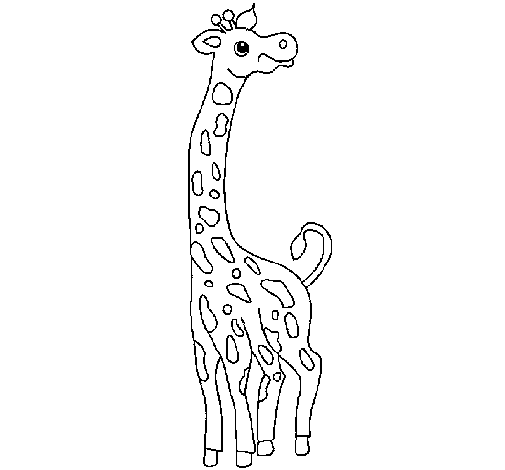 Disegno di Giraffa  da Colorare