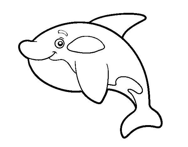 Disegno di Orca giovane da Colorare