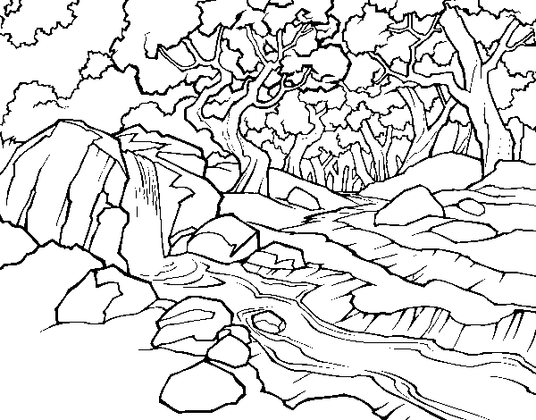 Disegno di Paesaggio della foresta con un fiume da Colorare