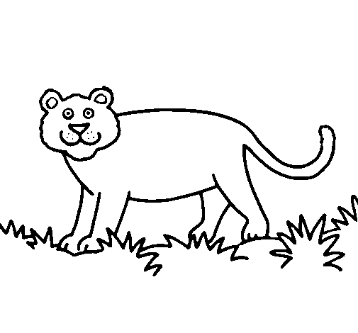 Disegno di Panthera  da Colorare
