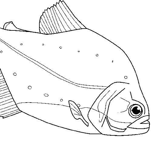 Disegno di Pesce  da Colorare