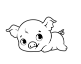 Dibujo de Piggy bambino