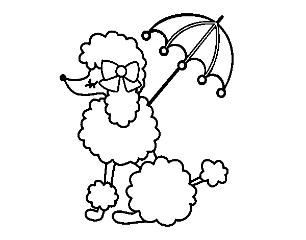 Disegno di Poodle con il parasole da Colorare
