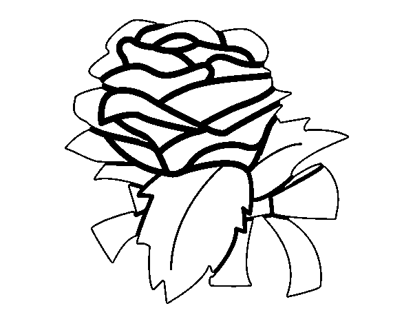 Disegno di Rosa, botanica da Colorare