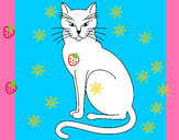 201215/felino-animali-gatti-dipinto-da-monica-1058278_163.jpg