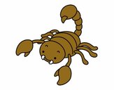 Scorpione pungiglione con rilievo